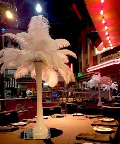 HIER_5170 12 Pack | 13