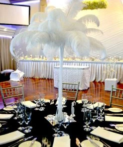 HIER_5170 12 Pack | 13