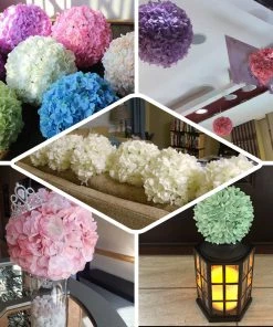 HIER_1500 4 Pack | 7