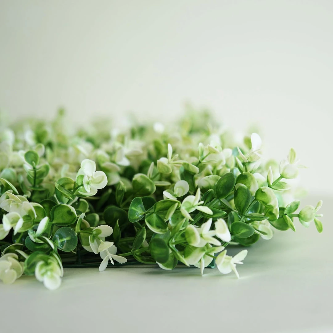 HIER_1910 11 Sq Ft. | 4 Panels White Tip Green Boxwood Hedge Genlisea Garden Wall Backdrop Mat Artificial Flower & Plants 8 HIER_1910 11 Sq Ft. | 4 Panels White Tip Green Boxwood Hedge Genlisea Garden Wall Backdrop Mat Artificial Flower & Plants