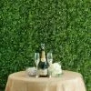 HIER_1920 11 Sq Ft. | 4 Panels Green Boxwood Hedge Locust & Cypress Garden Wall Backdrop Mat