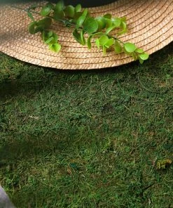 HIER_1720 Theme Décor 18"x16" | Preserved Natural Moss Wall Sheet Roll, Moss Landscape Panel