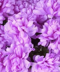 HIER_1100 4 Bushes | Lavender Artificial Silk Chrysanthemums | 56 Faux Flowers