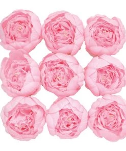 HIER_1130 Chargers & Centerpieces 10 Pack | 3