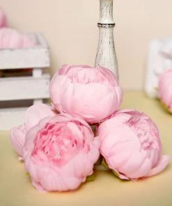 HIER_1130 Chargers & Centerpieces 10 Pack | 3" Pink Artificial Silk DIY Craft Peony Flower Heads