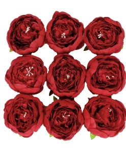 HIER_1130 10 Pack | 3