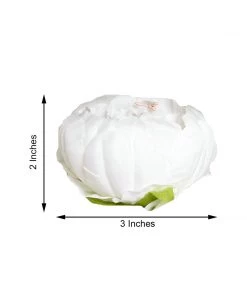 HIER_1130 10 Pack | 3