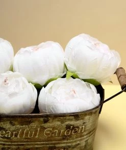 HIER_1130 10 Pack | 3