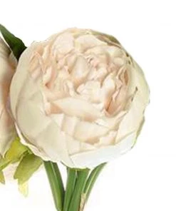 HIER_1130 Artificial Peony 5 Flower Head Beige Peony Bouquet | Artificial Silk Peonies Spray