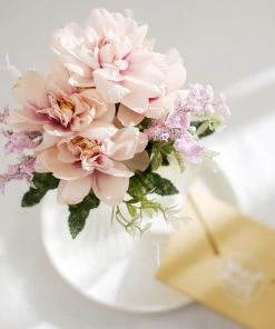 HIER_1140 3 Bushes | 11