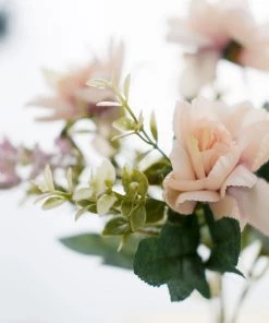 HIER_1140 3 Bushes | 11