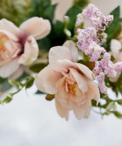 HIER_1140 3 Bushes | 11