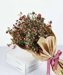 HIER_1150 Faux Cherry Blossoms | Baby Breath 4 Stems | 27" Burgundy Artificial Silk Babys Breath Gypsophila Flowers 18 HIER_1150 Faux Cherry Blossoms | Baby Breath 4 Stems | 27
