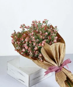 HIER_1150 4 Stems | 27" Coral Artificial Silk Babys Breath Gypsophila Flowers 18 HIER_1150 4 Stems | 27