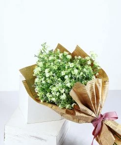 HIER_1150 4 Stems | 27" Lime Artificial Silk Babys Breath Gypsophila Flowers 18 HIER_1150 4 Stems | 27