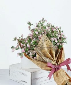 HIER_1150 4 Stems | 27