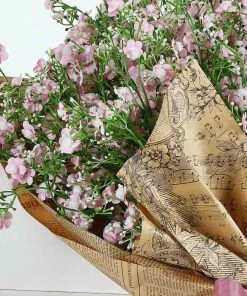 HIER_1150 4 Stems | 27