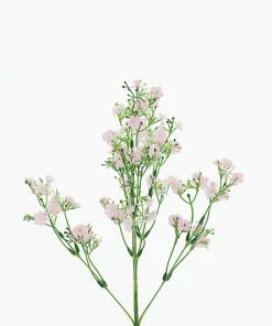 HIER_1150 4 Stems | 27