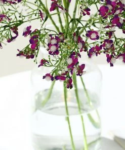 HIER_1150 4 Stems | 27