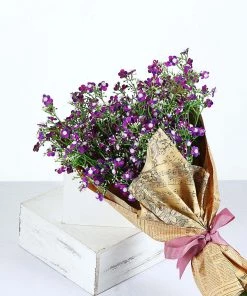 HIER_1150 4 Stems | 27