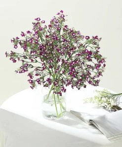 HIER_1150 4 Stems | 27