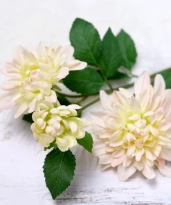 HIER_1150 Artificial Dahlia | Daisy 2 Stems | 30" Tall Blush/Cream Artificial Silk Dahlia Flowers, Branches, Bouquets 21 HIER_1150 Artificial Dahlia | Daisy 2 Stems | 30