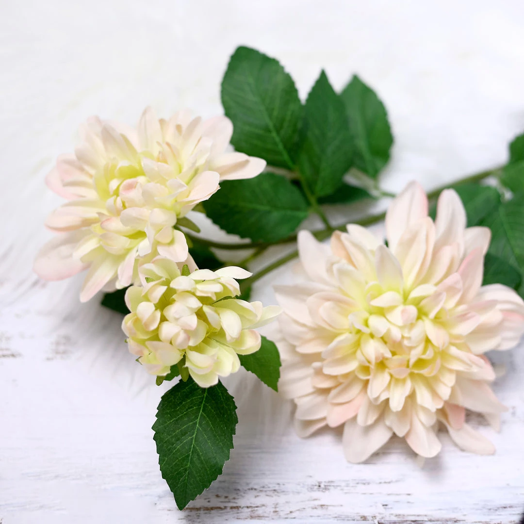 HIER_1150 Artificial Dahlia | Daisy 2 Stems | 30" Tall Blush/Cream Artificial Silk Dahlia Flowers, Branches, Bouquets 10 HIER_1150 Artificial Dahlia | Daisy 2 Stems | 30" Tall Blush/Cream Artificial Silk Dahlia Flowers, Branches, Bouquets