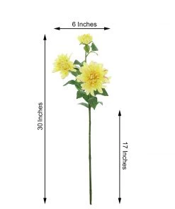 HIER_1150 2 Stems | 30