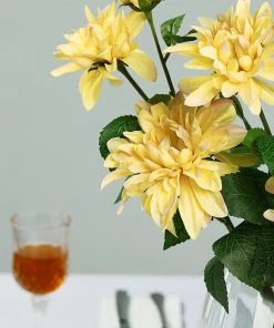 HIER_1150 2 Stems | 30