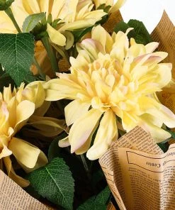 HIER_1150 2 Stems | 30