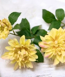 HIER_1150 2 Stems | 30