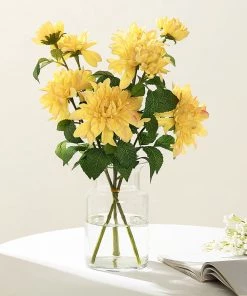 HIER_1150 2 Stems | 30