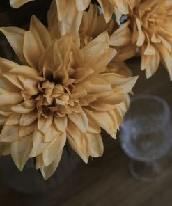 HIER_1160 2 Bouquets | 20" Champagne Artificial Silk Dahlia Flower Spray Bushes 22 HIER_1160 2 Bouquets | 20