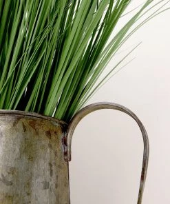 HIER_1150 3 Plants | 20