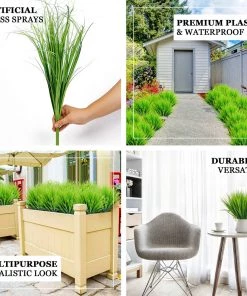 HIER_1150 3 Plants | 20