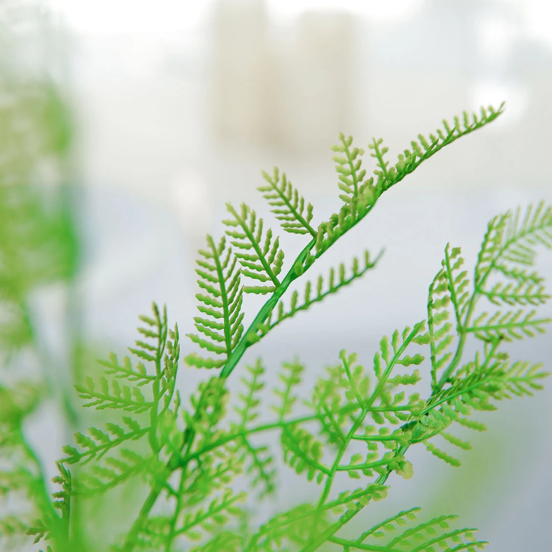 HIER_1600 2 Stems | Green Artificial Asparagus Fern Leaf Plant Indoor Faux Spray 9 HIER_1600 2 Stems | Green Artificial Asparagus Fern Leaf Plant Indoor Faux Spray
