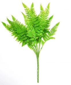 HIER_1600 2 Stems | 19