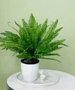 HIER_1600 Artificial Eucalyptus & Greenery 2 Stems | 18" Green Artificial Boston Fern Leaf Plant Indoor Faux Spray