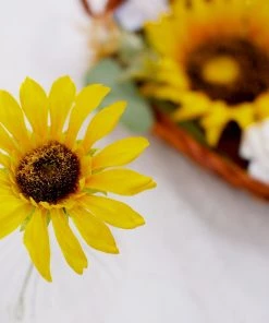 HIER_5120 Chargers & Centerpieces 40 Pcs | Artificial Rose, Silk Sunflower & Stems Mix Flower Box - Cream/White