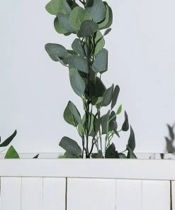 HIER_1220 Garlands | Vines 6.5ft | Frosted Green Artificial Silk Eucalyptus Leaf Garland Vine