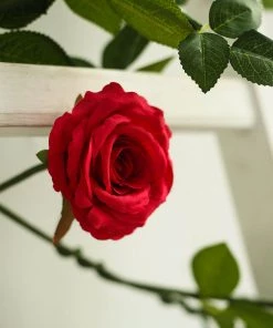 HIER_1210 6ft | Red Real Touch Artificial Rose & Leaf Flower Garland Vine Artificial Flower & Plants 25 HIER_1210 6ft | Red Real Touch Artificial Rose & Leaf Flower Garland Vine Artificial Flower & Plants