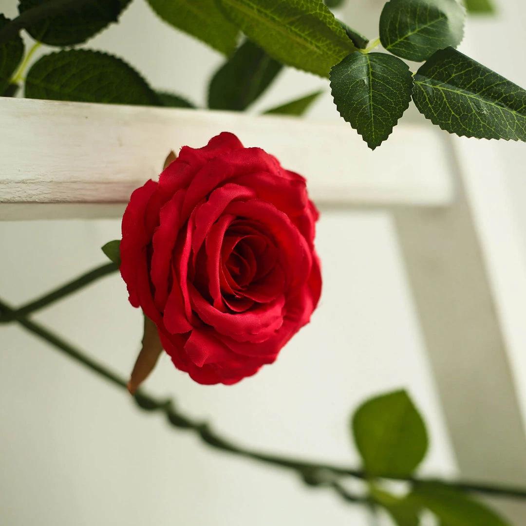 HIER_1210 6ft | Red Real Touch Artificial Rose & Leaf Flower Garland Vine Artificial Flower & Plants 9 HIER_1210 6ft | Red Real Touch Artificial Rose & Leaf Flower Garland Vine Artificial Flower & Plants