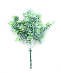 HIER_1600 3 Bushes | 14