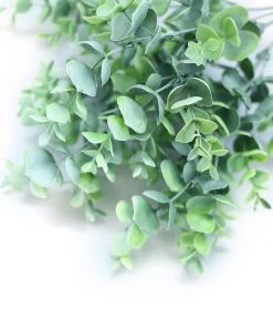 HIER_1600 3 Bushes | 14