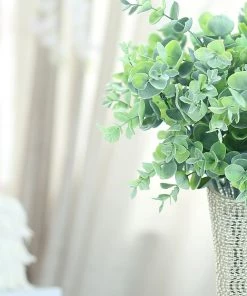 HIER_1600 3 Bushes | 14