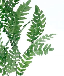 HIER_1150 2 Bushes | 42