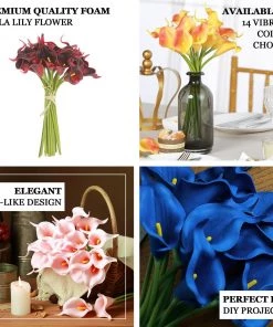 HIER_1400 20 Stems | 14