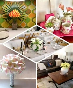 HIER_1400 20 Stems | 14