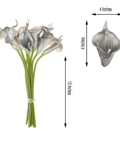 HIER_1400 10 Stems | 14