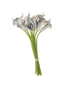 HIER_1400 10 Stems | 14